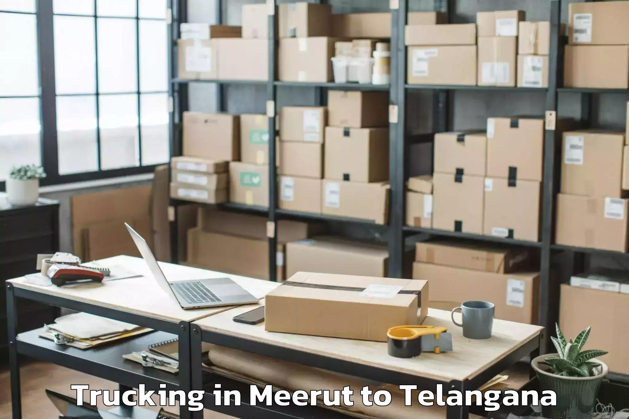 Top Meerut to Nampalle Trucking Available